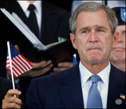 Bush
